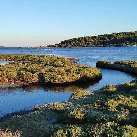 Fisherman's View